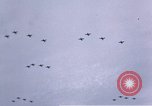 Image of P-38 Lightning fighter planes Germany, 1945, second 26 stock footage video 65675047609