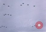 Image of P-38 Lightning fighter planes Germany, 1945, second 27 stock footage video 65675047609