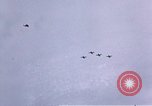 Image of P-38 Lightning fighter planes Germany, 1945, second 29 stock footage video 65675047609