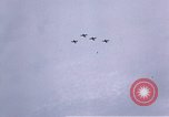 Image of P-38 Lightning fighter planes Germany, 1945, second 30 stock footage video 65675047609