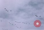 Image of P-38 Lightning fighter planes Germany, 1945, second 42 stock footage video 65675047609