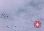 Image of P-38 Lightning fighter planes Germany, 1945, second 43 stock footage video 65675047609