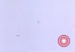 Image of P-47 Thunderbolt fighter planes of 386th Fighter Squadron Germany, 1945, second 61 stock footage video 65675047610