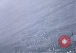 Image of strafing runs Germany, 1945, second 61 stock footage video 65675047612