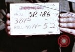Image of strafing runs Germany, 1945, second 1 stock footage video 65675047613