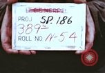 Image of strafing runs Germany, 1945, second 3 stock footage video 65675047614
