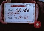 Image of strafing runs Germany, 1945, second 1 stock footage video 65675047617