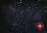 Image of strafing runs Germany, 1945, second 7 stock footage video 65675047617