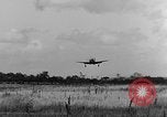 Image of P-47 Thunderbolt planes Belfast Ireland, 1945, second 42 stock footage video 65675047624