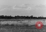 Image of P-47 Thunderbolt planes Belfast Ireland, 1945, second 47 stock footage video 65675047624