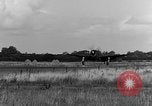 Image of P-47 Thunderbolt planes Belfast Ireland, 1945, second 50 stock footage video 65675047624