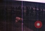 Image of strafing ground targets European Theater, 1944, second 22 stock footage video 65675047640