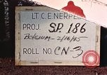 Image of P-47 Thunderbolt fighter planes Belgium, 1945, second 1 stock footage video 65675047643