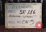 Image of P-47 Thunderbolt fighter planes Belgium, 1945, second 3 stock footage video 65675047643