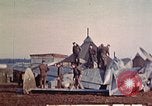 Image of P-38 Lightning fighter aircraft Belgium, 1945, second 26 stock footage video 65675047647