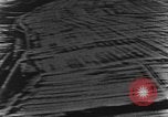 Image of Focke-Wulf Fw-190 fighter European Theater, 1944, second 10 stock footage video 65675047669