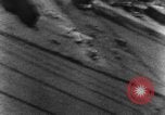 Standbild deutschen Junkers Ju 88 Bomber europäische Theater, 1944, aus Sekunde 7 historischem Filmmaterial Videoclip 65675047681