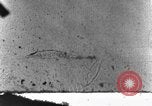 Standbild strafing deutschen Junkers Ju 52 europäische Theater, 1944, aus Sekunde 52 historischem Filmmaterial Videoclip 65675047685