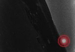 Standbild Angriffe feindliche Flugzeuge in geschützten Bäume europäische Theater, 1944, aus Sekunde 13 historischem Filmmaterial Videoclip 65675047688