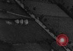 Image of strafing of convoy European Theater, 1944, second 56 stock footage video 65675047703