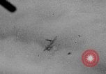 Image of attack on Messerschmitt Me 110 European Theater, 1944, second 19 stock footage video 65675047710
