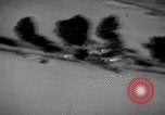 Image of strafing parked truck European Theater, 1944, second 39 stock footage video 65675047711