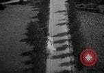 Image of strafing parked truck and stationary vehicles European Theater, 1944, second 17 stock footage video 65675047712