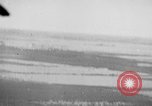 Image of strafing parked truck and stationary vehicles European Theater, 1944, second 43 stock footage video 65675047712