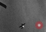 Standbild Gun camera footage zeigen Fw-190 Hit und brennen Deutschland, 1944, aus Sekunde 17 historischem Filmmaterial Videoclip 65675047726