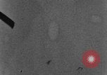 Standbild Gun camera footage zeigen Fw-190 Hit und brennen Deutschland, 1944, aus Sekunde 26 historischem Filmmaterial Videoclip 65675047726