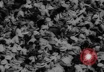 Image of tennis player Alex Olmedo Brisbane Australia, 1959, second 53 stock footage video 65675047732
