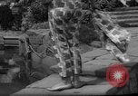 Image of fashion show Italy, 1959, second 16 stock footage video 65675047737