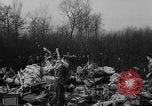 Standbild Wracks von abgestürzten Flugzeug Brüssel Belgien, 1961, aus Sekunde 45 historischem Filmmaterial Videoclip 65675047740