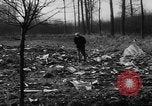 Standbild Wracks von abgestürzten Flugzeug Brüssel Belgien, 1961, aus Sekunde 57 historischem Filmmaterial Videoclip 65675047740
