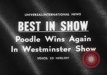 Standbild Pudel gewinnt der Hund zeigen New York United States USA, 1961, aus Sekunde 4 historischem Filmmaterial Videoclip 65675047741
