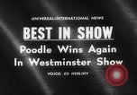 Standbild Pudel gewinnt der Hund zeigen New York United States USA, 1961, aus Sekunde 5 historischem Filmmaterial Videoclip 65675047741