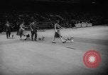 Standbild Pudel gewinnt der Hund zeigen New York United States USA, 1961, aus Sekunde 11 historischem Filmmaterial Videoclip 65675047741