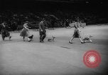 Standbild Pudel gewinnt der Hund zeigen New York United States USA, 1961, aus Sekunde 12 historischem Filmmaterial Videoclip 65675047741