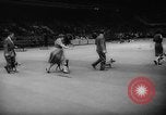 Standbild Pudel gewinnt der Hund zeigen New York United States USA, 1961, aus Sekunde 14 historischem Filmmaterial Videoclip 65675047741