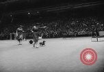 Standbild Pudel gewinnt der Hund zeigen New York United States USA, 1961, aus Sekunde 18 historischem Filmmaterial Videoclip 65675047741