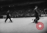 Standbild Pudel gewinnt der Hund zeigen New York United States USA, 1961, aus Sekunde 25 historischem Filmmaterial Videoclip 65675047741