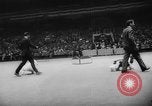 Standbild Pudel gewinnt der Hund zeigen New York United States USA, 1961, aus Sekunde 26 historischem Filmmaterial Videoclip 65675047741