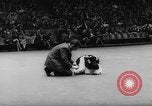 Standbild Pudel gewinnt der Hund zeigen New York United States USA, 1961, aus Sekunde 30 historischem Filmmaterial Videoclip 65675047741