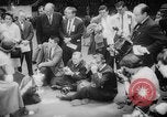 Standbild Pudel gewinnt der Hund zeigen New York United States USA, 1961, aus Sekunde 41 historischem Filmmaterial Videoclip 65675047741