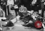 Standbild Pudel gewinnt der Hund zeigen New York United States USA, 1961, aus Sekunde 44 historischem Filmmaterial Videoclip 65675047741