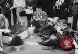 Standbild Pudel gewinnt der Hund zeigen New York United States USA, 1961, aus Sekunde 45 historischem Filmmaterial Videoclip 65675047741