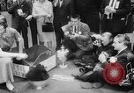 Standbild Pudel gewinnt der Hund zeigen New York United States USA, 1961, aus Sekunde 46 historischem Filmmaterial Videoclip 65675047741