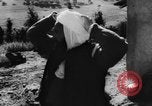 Image of French troops Algeria, 1956, second 44 stock footage video 65675047745