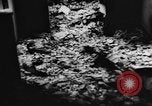 Image of French troops Algeria, 1956, second 62 stock footage video 65675047745