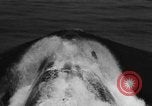 Image of USS Nautilus SSN-571 Groton Connecticut USA, 1956, second 37 stock footage video 65675047746